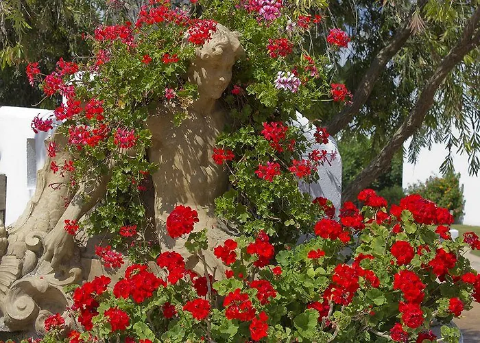 Fergus Conil Park Hotel